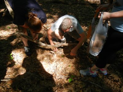 Looking for termites under a log.